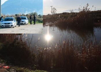 Μεσολόγγι: Δεν «σπάει» ο κρεοπώλης στις ερωτήσεις του εισαγγελέα – Βρέθηκε φυσίγγιο για αγριογούρουνα