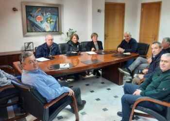 Με το Διοικητικό Συμβούλιο της «ΑΛΚΥΟΝΗΣ» συναντήθηκε ο Β.Γκίζας
