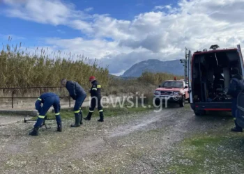 Μεσολόγγι: Και δύτης στις έρευνες για τον εντοπισμό του Μπάμπη – Ψάχνουν αρδευτικά κανάλια και αναμένουν νέα στίγματα από κινητά τηλέφωνα