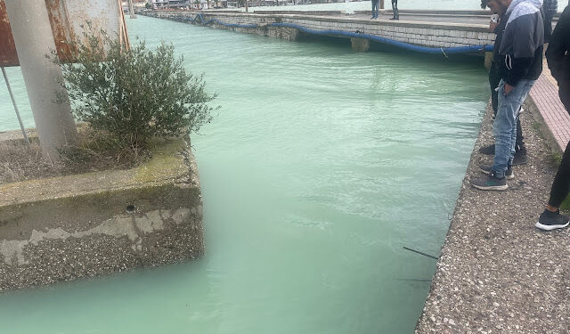 Το υδρόθειο έκανε την εμφάνιση του για ακόμη μια φορά στο κανάλι του Αιτωλικού, σκοτώνοντας ψάρια και απειλώντας τις ζωές των κατοίκων