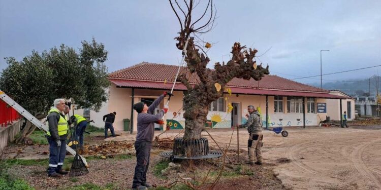Ειδήσεις & Ρεπορτάζ από το Αγρίνιο και την Αιτωλοακαρνανία