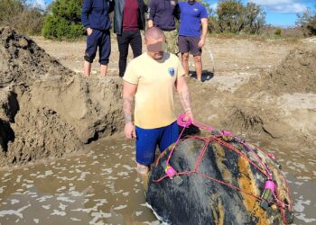 Νάρκη του Β’ παγκοσμίου πολέμου στην παραλία του Λούρου/βίντεο από την εξουδετέρωσή της