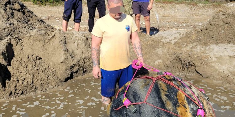 Νάρκη του Β’ παγκοσμίου πολέμου στην παραλία του Λούρου/βίντεο από την εξουδετέρωσή της