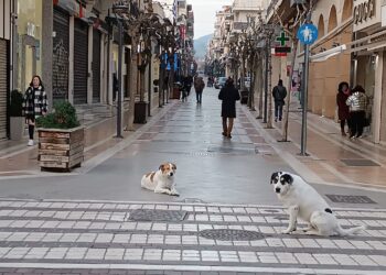 Ο καιρός σήμερα, Τετάρτη-Από την Κυριακή θα γίνει άστατος