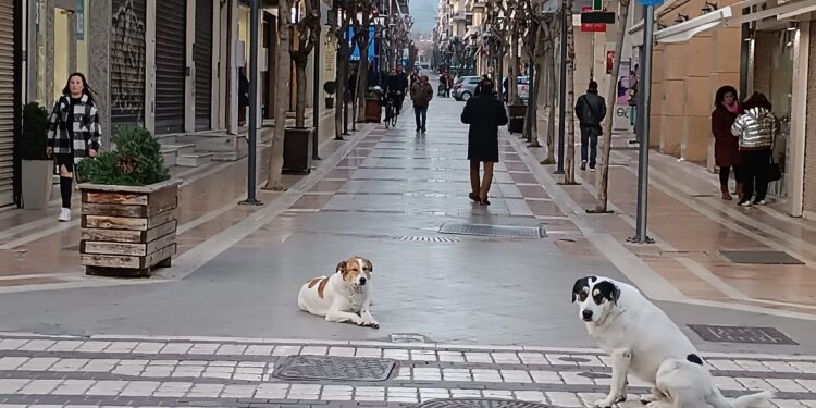 Ο καιρός σήμερα, Τετάρτη-Από την Κυριακή θα γίνει άστατος