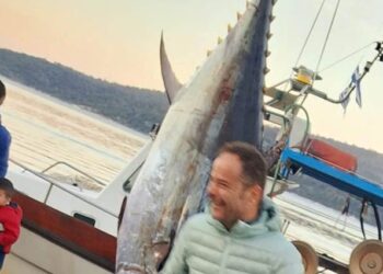 Αστακός| Απίθανη ψαριά με «θηρίο» τόνο, 458 κιλών!(βιντεο)