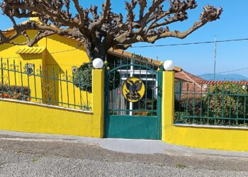 Αιτωλοακαρνανία-Εντυπωσιακό: Έβαψε ολόκληρο το σπίτι του με τα χρώματα της ΑΕΚ