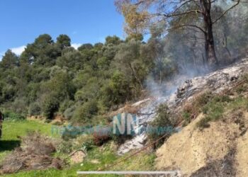 Πυρκαγιά σε πευκόδασος στην Άνω Βασιλική Ναυπακτίας