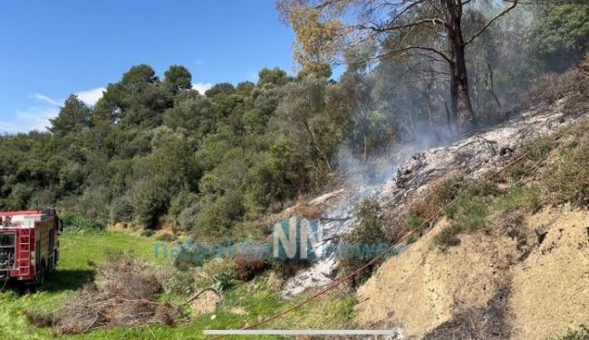 Πυρκαγιά σε πευκόδασος στην Άνω Βασιλική Ναυπακτίας