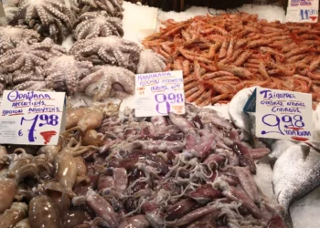 Καθαρά Δευτέρα: Προσοχή στα οστρακοειδή – Τι πρέπει να προσέξετε για να μην πάθετε δηλητηρίαση ή αλλεργία