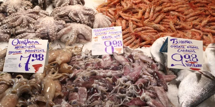 Καθαρά Δευτέρα: Προσοχή στα οστρακοειδή – Τι πρέπει να προσέξετε για να μην πάθετε δηλητηρίαση ή αλλεργία