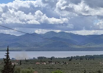 Φωτιά σε λιοστάσι στην Νέα Αβόρανη