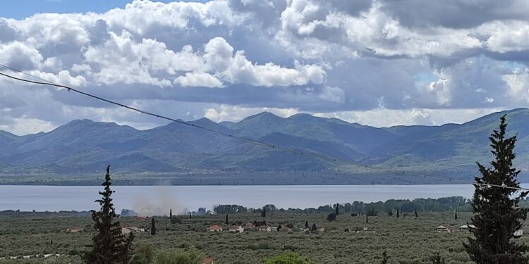 Φωτιά σε λιοστάσι στην Νέα Αβόρανη