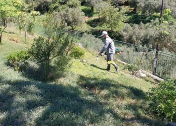 Εργασίες καθαρισμού και φύτευσης από τον Πολιτιστικό Σύλλογο Σαργιαδας σε κοινόχρηστους χώρους του χωριού
