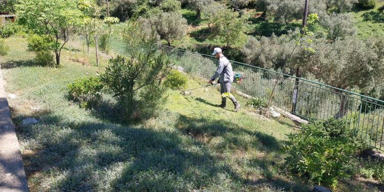 Εργασίες καθαρισμού και φύτευσης από τον Πολιτιστικό Σύλλογο Σαργιαδας σε κοινόχρηστους χώρους του χωριού