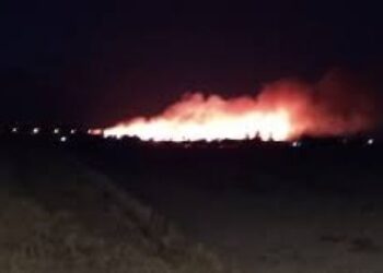 Φωτιά για μια ακόμη φορά στο κτήμα Πετούνη στο Μεσολόγγι