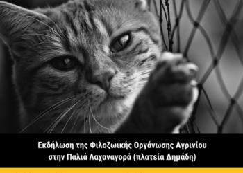 Εκδήλωση της φιλοζωικής Αγρινίου