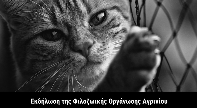 Εκδήλωση της φιλοζωικής Αγρινίου