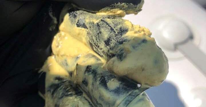 Τα αίτια που είναι κιτρινωπά τα νερά στον Αμβρακικό