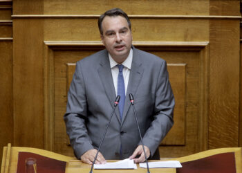 Θανάσης Παπαθανάσης: «Απόφαση υπέρ του Δικαίου, της διασφάλισης των ελαιοπαραγωγών και των εξαγωγέων της χώρας μας»