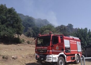 Σύλληψη και πρόστιμο και στην Παλαιομάνινα για φωτιά