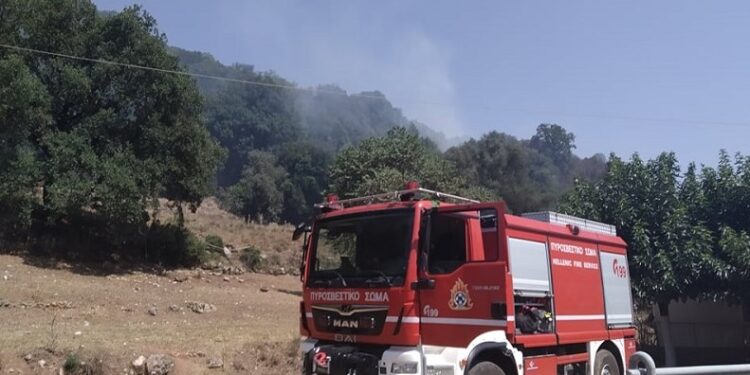 Σύλληψη και πρόστιμο και στην Παλαιομάνινα για φωτιά