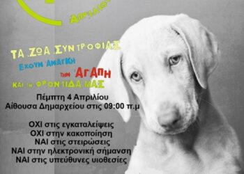 4 Απριλίου-Παγκόσμια Ημέρα Αδέσποτων Ζώων & ο Δήμος Ξηρομέρου συμμετέχει ενεργά στη φροντίδα τους