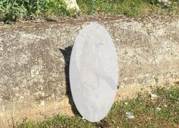 Φρικαλεότητα στο Ξηρόμερο: Σκότωσαν και κρέμασαν αλεπού σε δέντρο