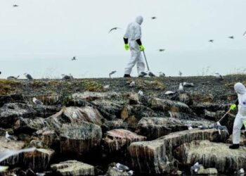 Παγκόσμια ανησυχία για τη γρίπη των πτηνών