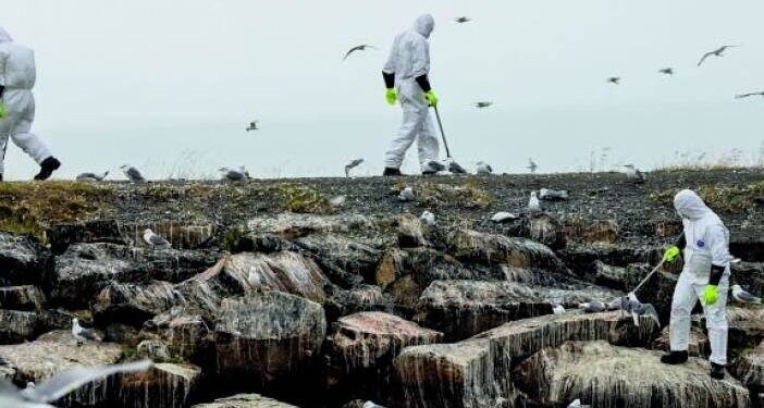 Παγκόσμια ανησυχία για τη γρίπη των πτηνών