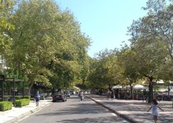 Την Τρίτη 28/5 κλιμάκιο του Ινστιτούτου Δασικών Οικοσυστημάτων στην Ναύπακτο