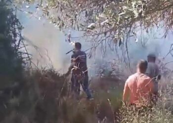 Φωτιά στην Ρίγανη Αγρινίου- σε εγρήγορση η Περιφέρεια (φωτο)