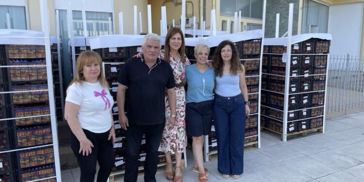 Διανομή Φρούτων στο Κοινωνικό Παντοπωλείο Αγρινίου