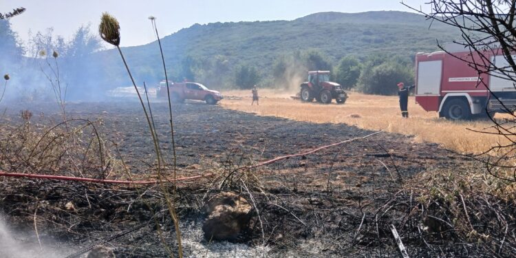 Φωτιά σε αγροτοδασική έκταση στην περιοχή Μαχαιράς Αιτωλοακαρνανίας (ΦΩΤΟ)