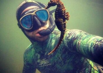 Ο δύτης που ανακάλυψε σπάνια αποικία ιπποκάμπων στο Αιτωλικό, έφτασε μέχρι το Reuters και το Al Jazeera