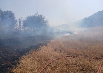 Φωτιά σε αγροτοδασική έκταση στην περιοχή Μαχαιράς Αιτωλοακαρνανίας (ΦΩΤΟ)