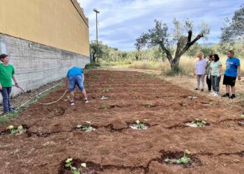 Δήμος Αγρινίου: Εκσυγχρονισμός του οικιακού εξοπλισμού των Δημοτικών Παιδικών Σταθμών και του ΚΔΑΠμεΑ