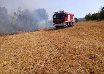 Φωτιά σε αγροτοδασική έκταση στην περιοχή Μαχαιράς  Αιτωλοακαρνανίας (ΦΩΤΟ)