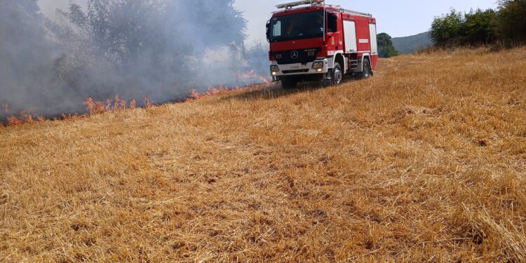 Φωτιά σε αγροτοδασική έκταση στην περιοχή Μαχαιράς Αιτωλοακαρνανίας (ΦΩΤΟ)