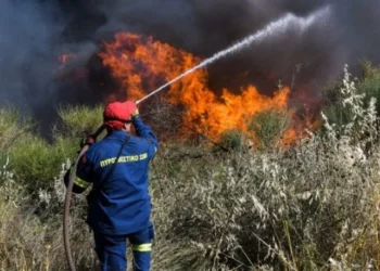 Νέος συναγερμός για φωτιά στην περιοχή Στάνος