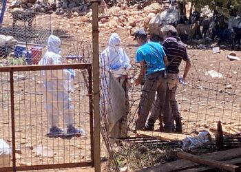 Σε εξέλιξη οι έλεγχοι στην ζώνη επιτήρησης για την πανώλη και οι κλινικές διερευνήσεις σε όλη την Περιφέρεια Δυτικής Ελλάδας