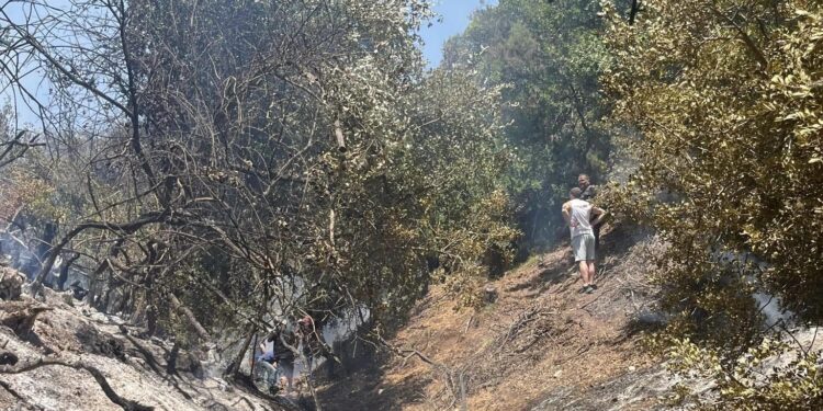 Φωτιά στο Βασιλόπουλο Ξηρομέρου-τέθηκε υπό έλεγχο με την συνδρομή και εναέριων μέσων