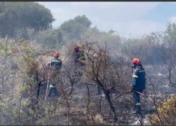 Φωτιά στην Πογωνιά-Κινητοποίηση Πυροσβεστικής και Περιφέρειας