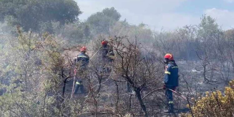 Φωτιά στην Πογωνιά-Κινητοποίηση Πυροσβεστικής και Περιφέρειας