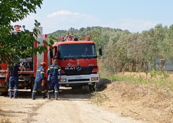 Φωτιά στη Νεάπολη Αγρινίου