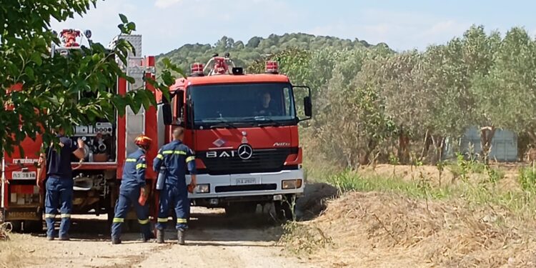 Φωτιά στη Νεάπολη Αγρινίου