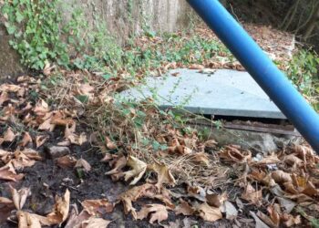 Βαγγέλης Σκούρας: εγκατάλειψη  των πηγών  από τις οποίες υδροδοτείται το χωριό Σιταράλωνα Θέρμου