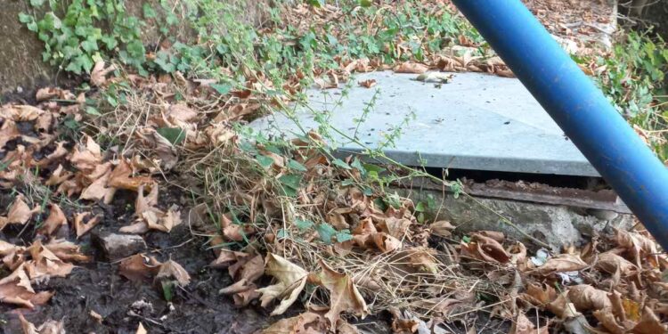 Βαγγέλης Σκούρας: εγκατάλειψη των πηγών από τις οποίες υδροδοτείται το χωριό Σιταράλωνα Θέρμου