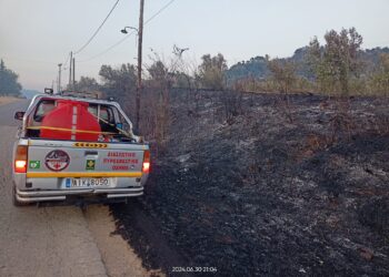 Δεκάδες στέμματα κάηκαν στο Αγγελόκαστρο (φωτο)- Προσοχή, μπαίνουμε στην καρδιά της αντιπυρικής περιόδου