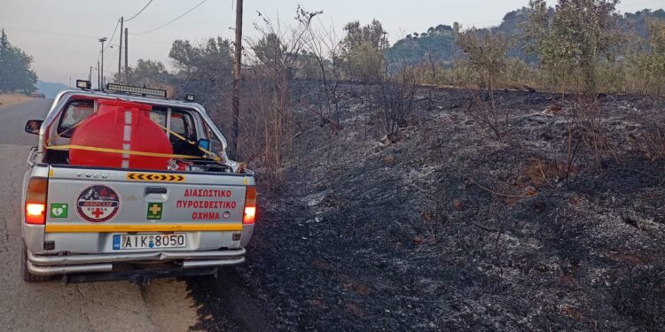 Δεκάδες στέμματα κάηκαν στο Αγγελόκαστρο (φωτο)- Προσοχή, μπαίνουμε στην καρδιά της αντιπυρικής περιόδου